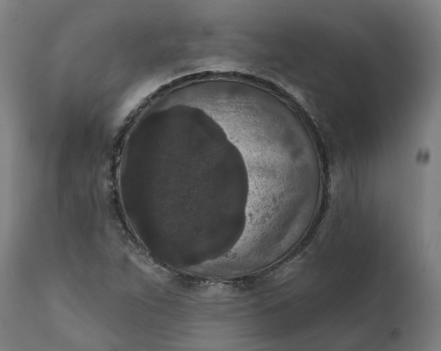 X0000111641263200907311243