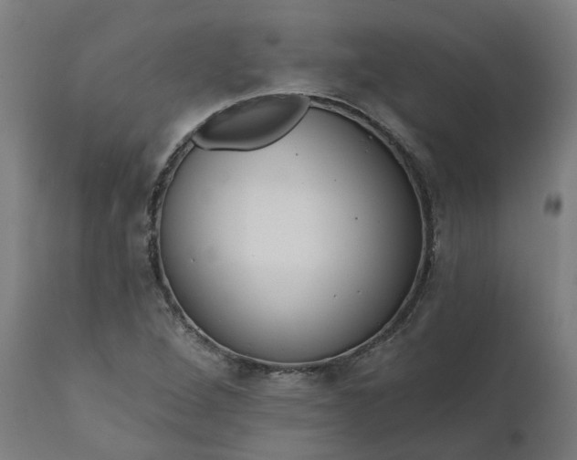 X0000111641264200907311243