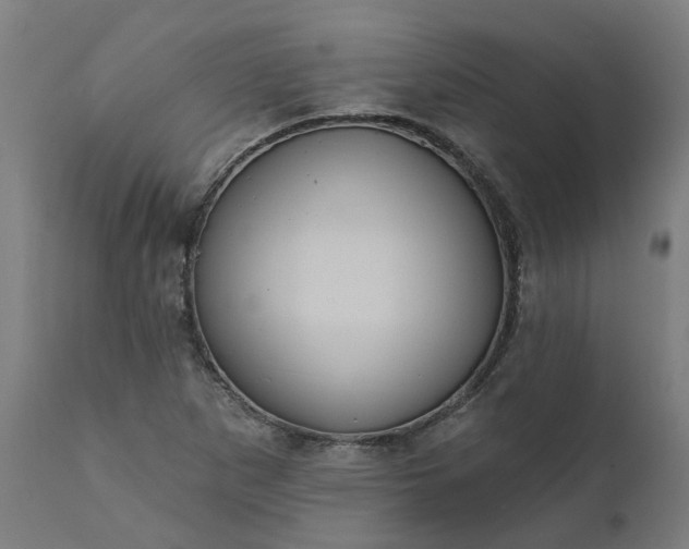 X0000111641265200907311243