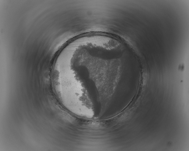 X0000111641266200907311243