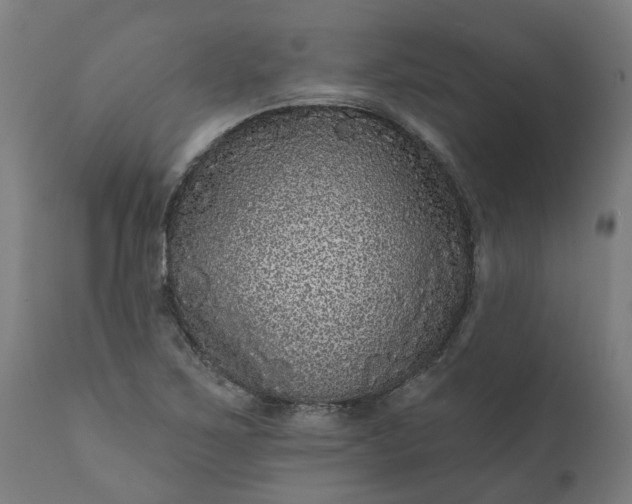 X0000111641267200907311243