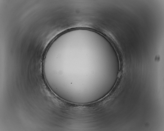 X0000111641268200907311243