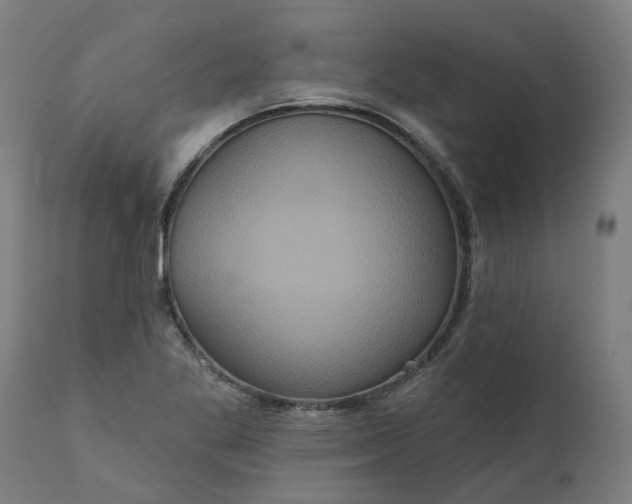 X0000111641269200907311243