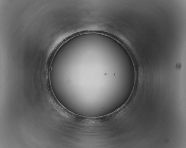 X0000111641270200907311243