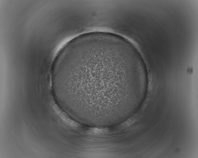 X0000111641271200907311243