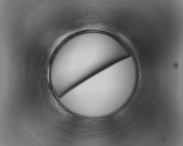 X0000111641272200907311243