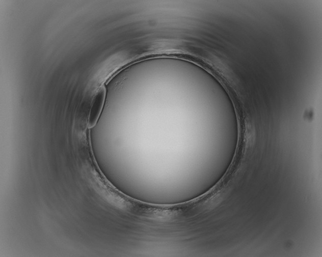 X0000111641273200907311243