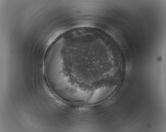 X0000111641274200907311243