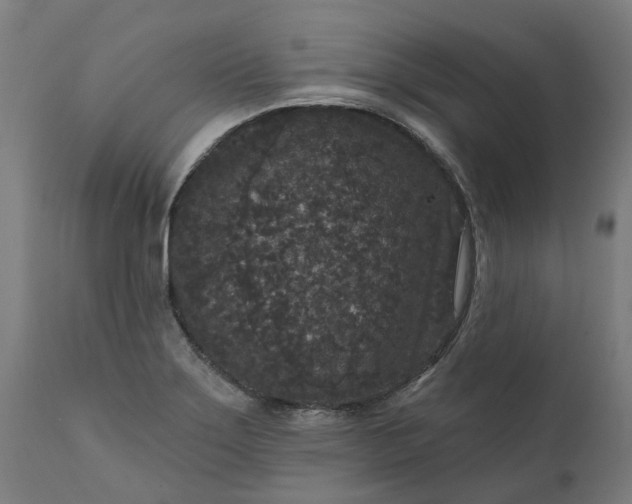 X0000111641275200907311243