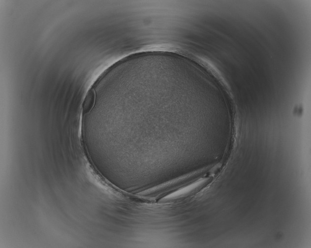 X0000111641276200907311243