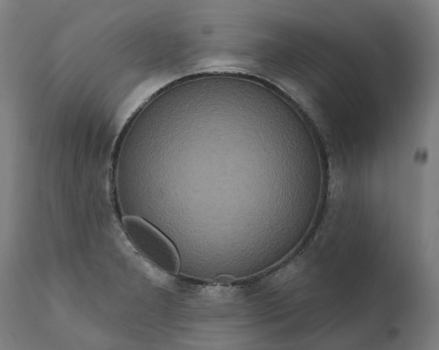 X0000111641277200907311243