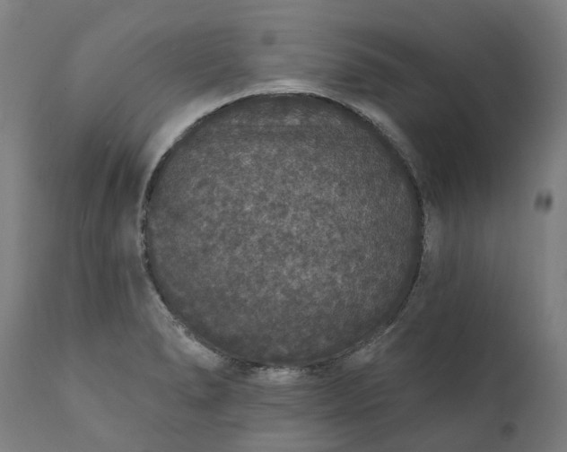 X0000111641278200907311243