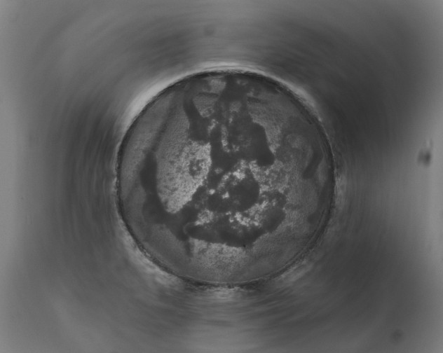 X0000111641279200907311243