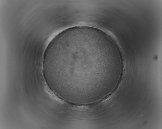 X0000111641280200907311243