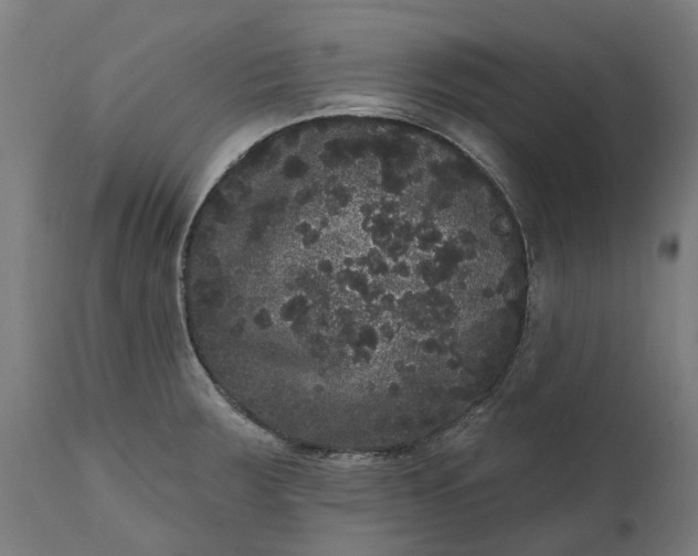 X0000111641283200907311243