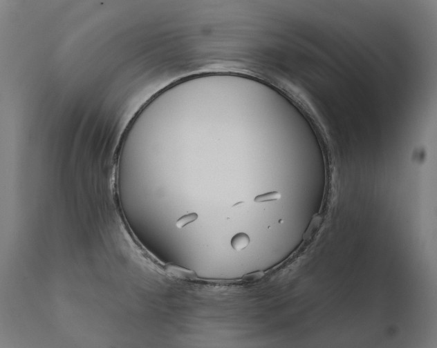 X0000111641284200907311243