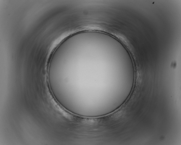 X0000111641286200907311243