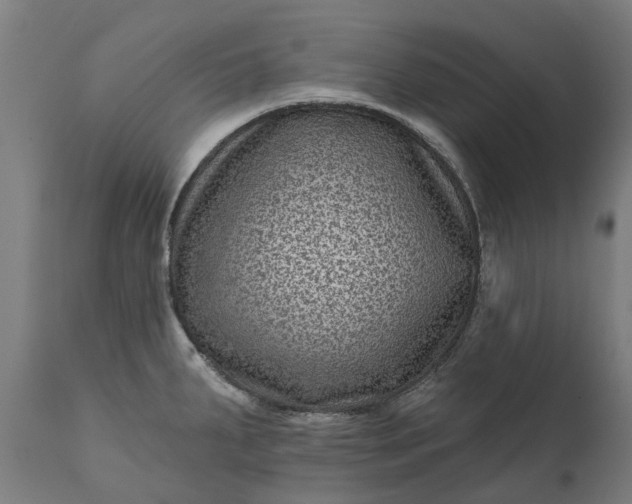 X0000111641287200907311243