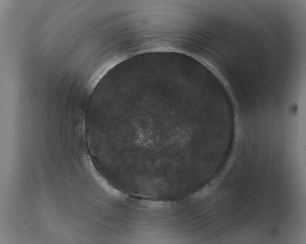 X0000111641289200907311243