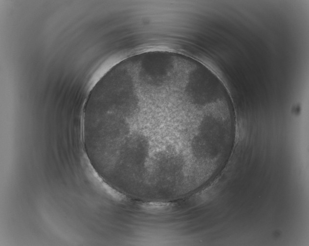 X0000111641290200907311243