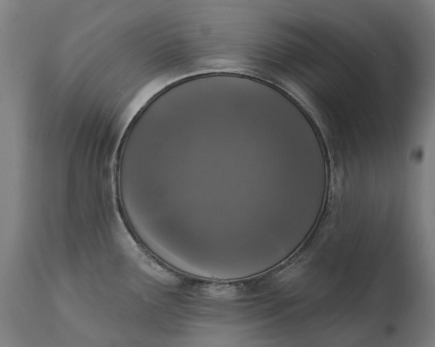 X0000111641291200907311243