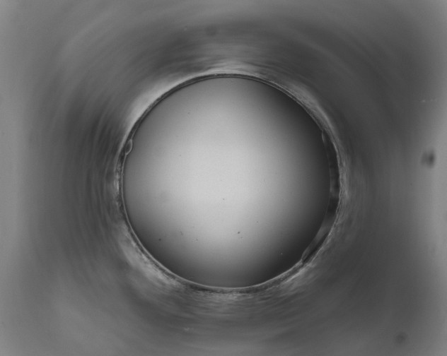 X0000111641292200907311243