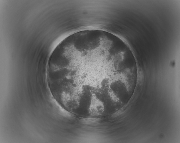 X0000111641294200907311243