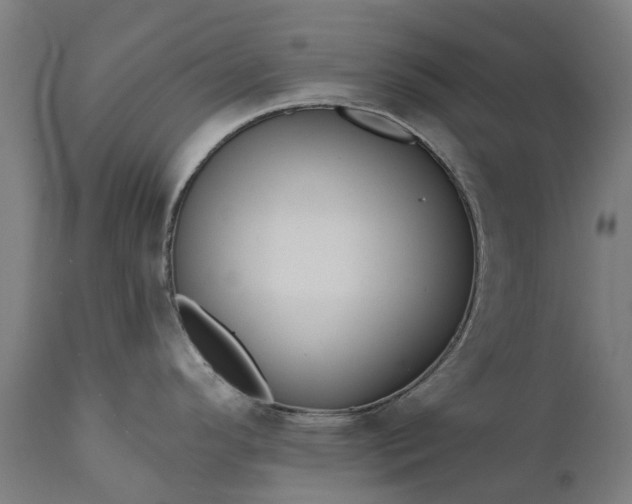 X0000111641296200907311242