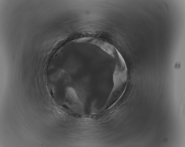 X0000111641297200907311242