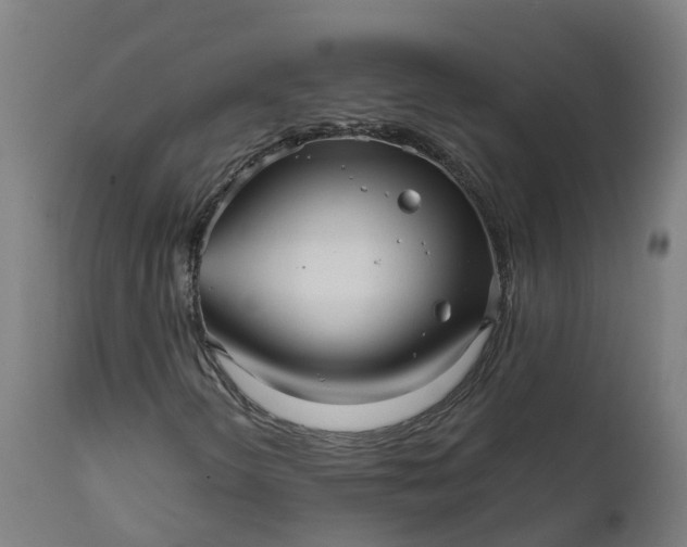 X0000111641298200907311242