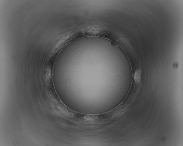 X0000111641299200907311242