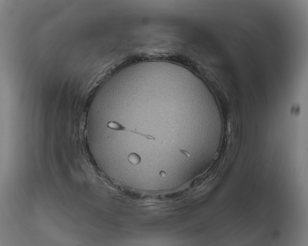 X0000111641300200907311242