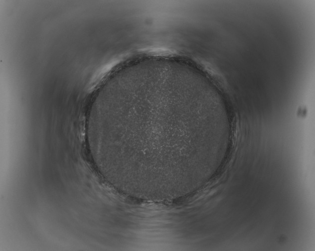 X0000111641301200907311242