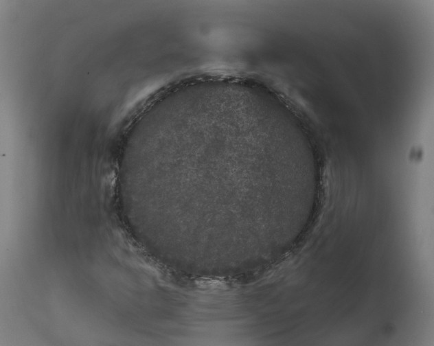 X0000111641302200907311242