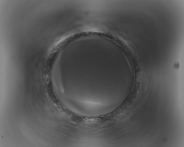 X0000111641303200907311242