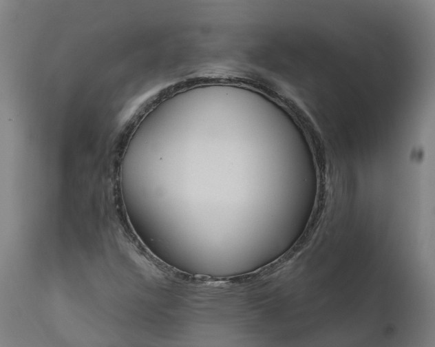 X0000111641304200907311242