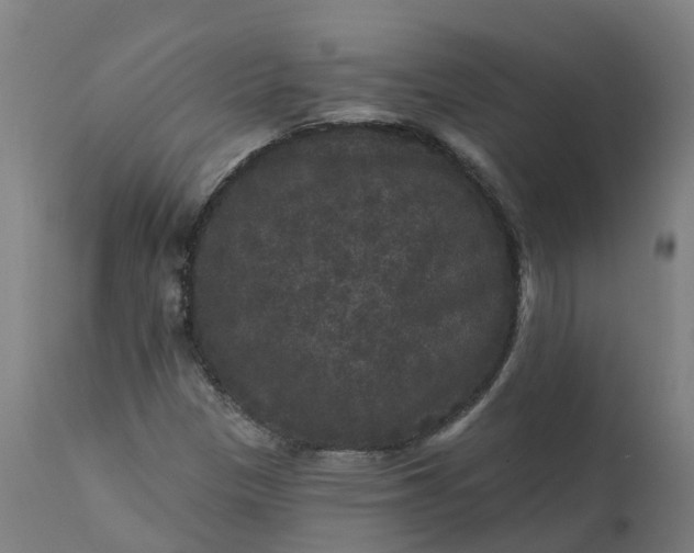 X0000111641305200907311242