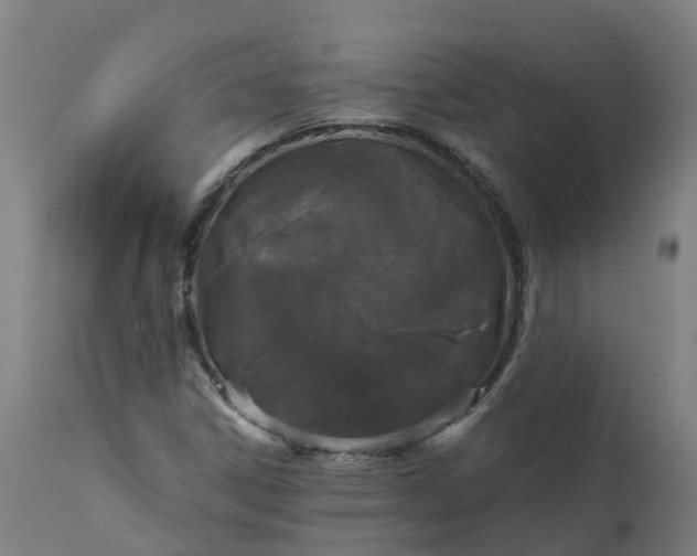 X0000111641306200907311242