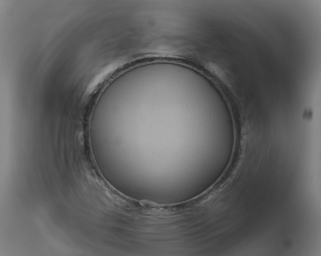 X0000111641307200907311242