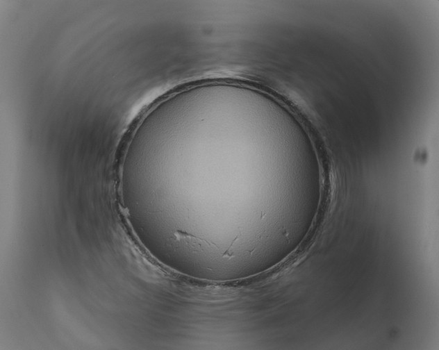 X0000111641308200907311242