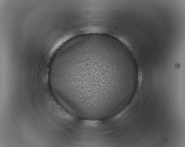 X0000111641309200907311242