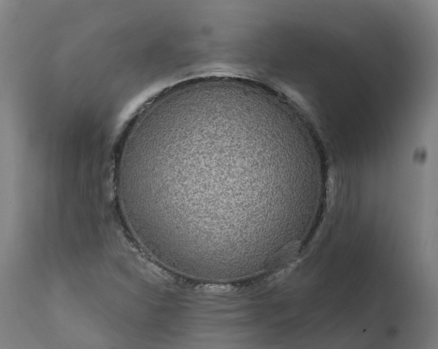 X0000111641310200907311242