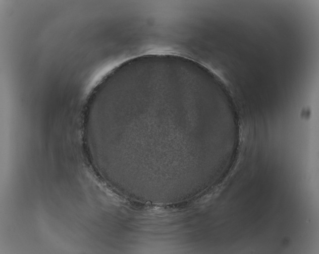 X0000111641311200907311242