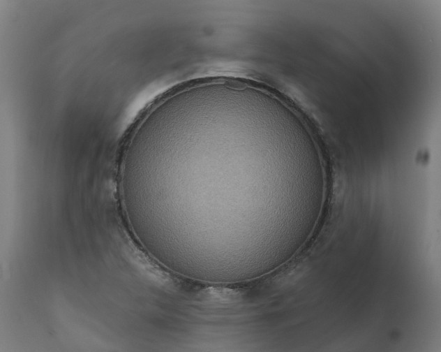 X0000111641312200907311242