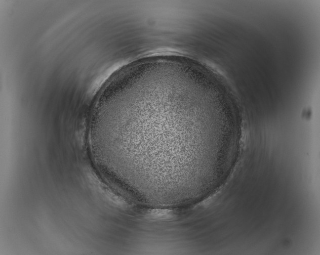 X0000111641313200907311242