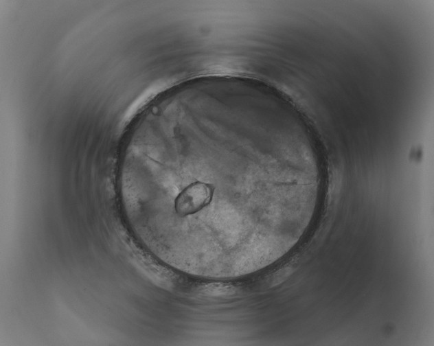 X0000111641314200907311242