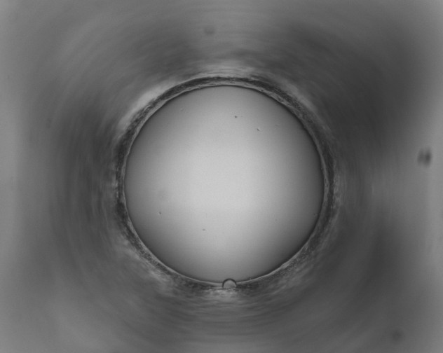 X0000111641315200907311242