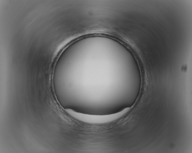 X0000111641316200907311242