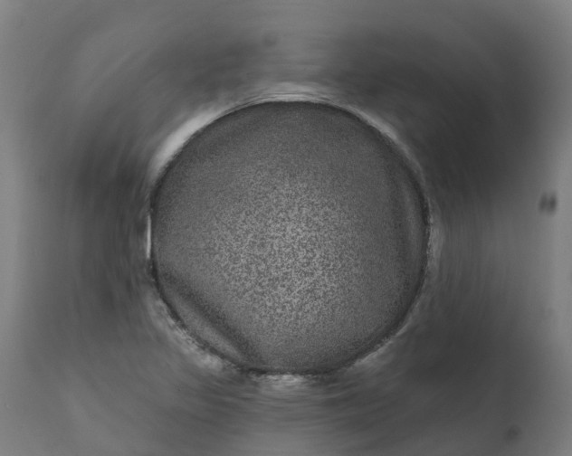 X0000111641317200907311242