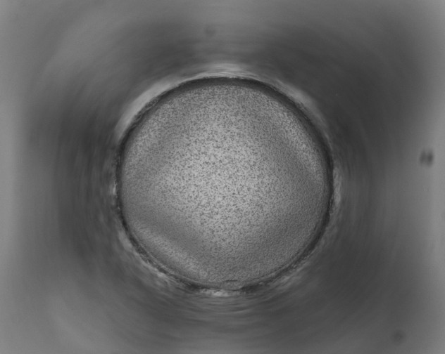 X0000111641318200907311242